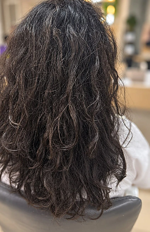 Antes: cabello rizado seco y esponjado, visto de espalda